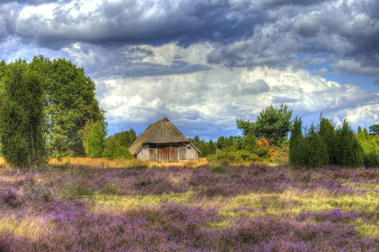 Hotel & Landgasthof Hoheluft Buchholz in der Nordheide Buitenkant foto