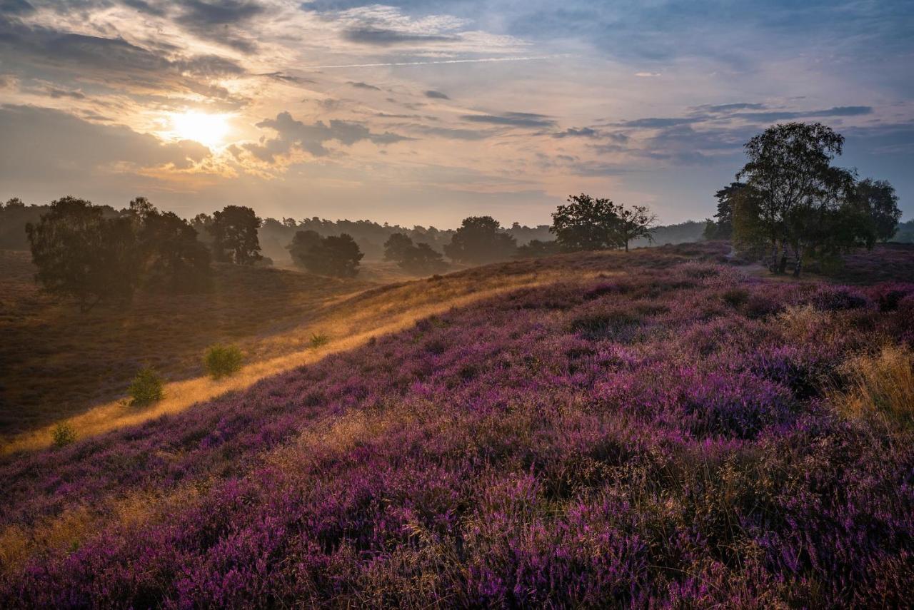 Hotel & Landgasthof Hoheluft Buchholz in der Nordheide Buitenkant foto