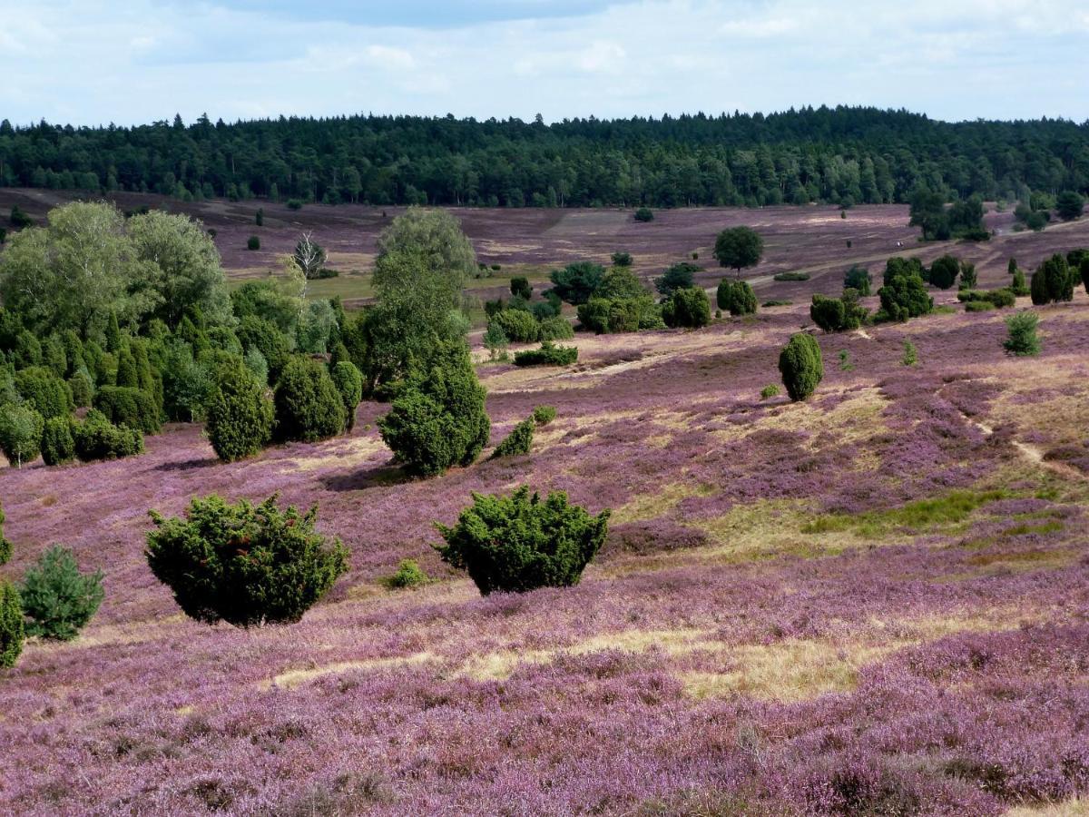 Hotel & Landgasthof Hoheluft Buchholz in der Nordheide Buitenkant foto